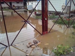 Φωτογραφία για Θεσπιές: Ελαιοτριβείο πλημμύρισε για δεύτερη φορά, εξαιτίας της αδιαφορίας της Π.Ε.Βοιωτίας [photos]