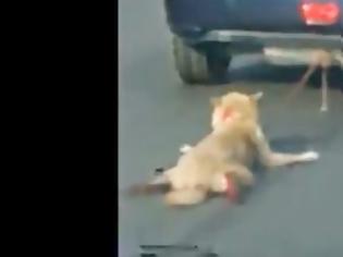 Φωτογραφία για ΣΚΛΗΡΕΣ ΕΙΚΟΝΕΣ: Έσερνε τον σκύλο ματωμένο σε κεντρικό δρόμο... [video]