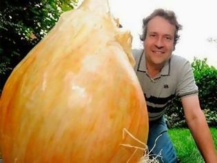 Φωτογραφία για Το μεγαλύτερο κρεμμύδι στον κόσμο!