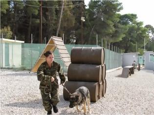 Φωτογραφία για Πέθανε o πρώτος εν ενεργεία στρατιωτικός σκύλος του Μηχανικού