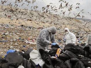 Φωτογραφία για Η Κομισιόν ζητά να μας επιβληθεί πρόστιμο για τα απόβλητα
