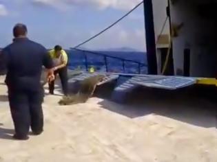 Φωτογραφία για ΑΠΙΣΤΕΥΤΟ βίντεο: Αυτοκίνητα στην Αλόννησο «πετούν» για να μπουν στο πλοίο!