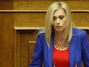 Φωτογραφία για Διεγράφη από τους Ανεξάρτητους Έλληνες η Ραχήλ Μακρή...Δείτε την ανακοίνωση! [photo]