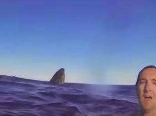 Φωτογραφία για Koλυμπώντας με… μπλε φάλαινες! ένα εκπληκτικό βίντεο [video]