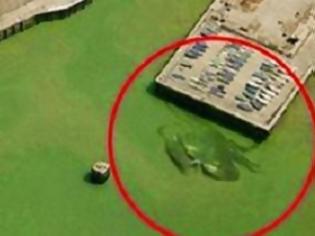 Φωτογραφία για ΤΡΟΜΑΚΤΙΚΟ: Καβούρι-γίγας σπέρνει τον πανικό σε παραλία...[video]