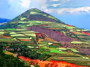 Φωτογραφία για Πανδαισία χρωμάτων στους αγρούς της Κίνας!