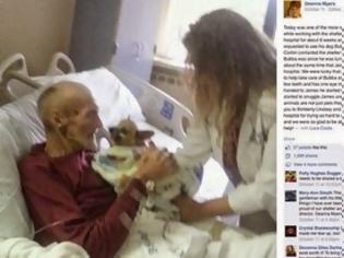 Φωτογραφία για Ετοιμοθάνατος συνήλθε μόλις αγκάλιασε το σκύλο του στο νοσοκομείο...[photos]