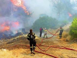 Φωτογραφία για Από φωτιά σε φωτιά έτρεχαν σήμερα οι πυροσβέστες στη Φθιώτιδα - Πέταξαν αεροσκάφη