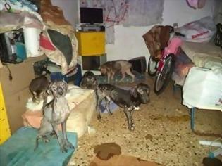 Φωτογραφία για Φωτογραφίες που σοκάρουν: Γερμανίδα στο Ηράκλειο είχε μετατρέψει το σπίτι της σε κολαστήριο ζώων