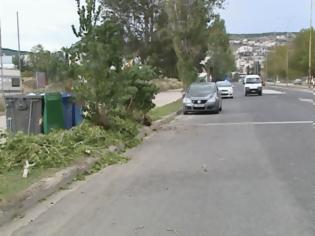 Φωτογραφία για Θυελλώδεις άνεμοι στη Στερεά, έπεσαν δέντρα στη Λαμία [video]