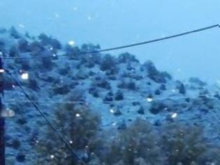 Φωτογραφία για Τα πρώτα χιόνια έπεσαν στα Τρίκαλα! [photos]