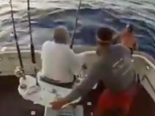 Φωτογραφία για Βασιλική ζαργάνα πήδηξε σε σκάφος και ο ψαράς πήδηξε στη θάλασσα για να σωθεί...[video]