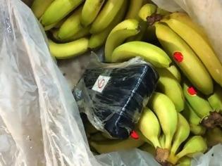 Φωτογραφία για Σε φορτίο μπανάνας τα 230 κιλά κοκαΐνης που βρέθηκαν στη Βούλα...