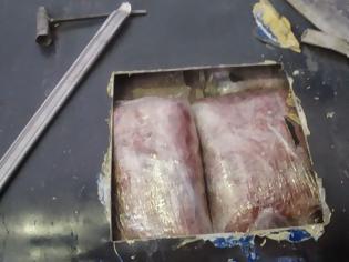 Φωτογραφία για Λεωφορείο από Αλβανία προς Ελλάδα δεν μετέφερε μόνο επιβάτες, αλλά και εντομοκτόνα!