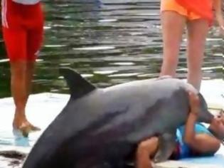 Φωτογραφία για ΑΠΙΣΤΕΥΤΟ!  - Δείτε τι κάνει το δελφίνι στην κοπέλα!