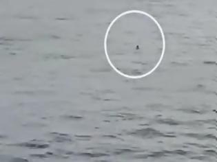 Φωτογραφία για ΑΠΙΣΤΕΥΤΟ! Ναυαγός σώθηκε μετά από δύο ημέρες στον Ειρηνικό Ωκεανό! Δείτε το συγκλονιστικό βίντεο!