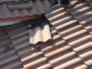 Φωτογραφία για ΑΝΑΤΡΙΧΙΑΣΤΙΚΟ: Κοιτάξτε τι βρήκαν κάτω από την στέγη αυτού του σπιτιού... [video]