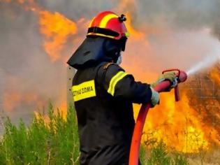 Φωτογραφία για Συνελήφθη 49χρονος κυνηγός για την πυρκαγιά στο Λασίθι