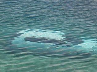 Φωτογραφία για Ναύπακτος: Αυτοκίνητο έπεσε στη θάλασσα