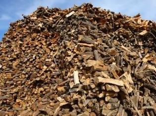 Φωτογραφία για Άλλοι 200 τόνοι παράνομης ξυλείας στον Βάλτο