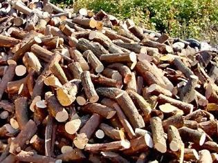 Φωτογραφία για Αιτωλοακαρνανία: 200 τόνοι παράνομης ξυλείας κατασχέθηκαν στον Ορεινό Βάλτο