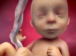 Φωτογραφία για Αγόρι ή κορίτσι; Δείτε το ΣΥΓΚΛΟΝΙΣΤΙΚΟ βίντεο για το πώς διαμορφώνεται το φύλο του μωρού στη μήτρα!