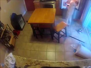 Φωτογραφία για Κάμερα έπιασε στα πράσα σκύλο την ώρα που έκανε επιδρομή στο ψυγείο - Δείτε το! [video]
