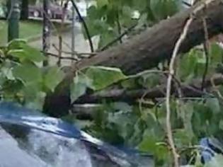 Φωτογραφία για Πάτρα: Κορμός δένδρου καταπλάκωσε σταθμευμένο όχημα