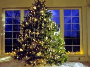 Φωτογραφία για Δείτε που στολίστηκε το πρώτο Χριστουγεννιάτικο δέντρο στην Ελλάδα!