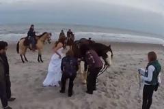 Η φωτογράφηση γάμου με άλογο δεν είναι πάντα καλή ιδέα...[photos]