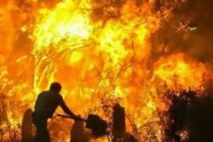 Πάτρα: «Βρήκα τη μάνα γονατιστή με τα παιδιά της»:Η συγκλονιστικότερη στιγμή στις φωτιές της Ηλείας το 2007 [video]