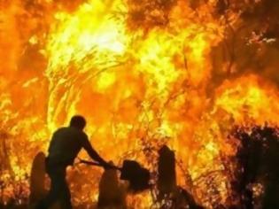 Φωτογραφία για Πάτρα: «Βρήκα τη μάνα γονατιστή με τα παιδιά της»:Η συγκλονιστικότερη στιγμή στις φωτιές της Ηλείας το 2007 [video]