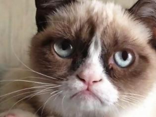 Φωτογραφία για Η σερβιτόρα που έγινε εκατομμυριούχος εξαιτίας μια γάτας! [video]