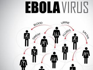 Φωτογραφία για ο ΔΝΤ εξασθένισε τα συστήματα υγείας των χωρών που πλήττονται από τον Έμπολα