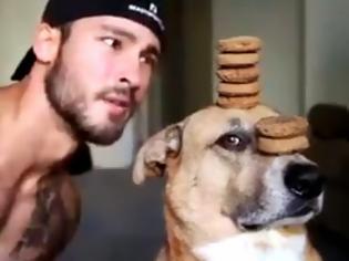 Φωτογραφία για Ξεκαρδιστικό βίντεο: Σκύλος αντιστέκεται με σθένος σε μπισκότα και λουκάνικα...[video]