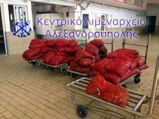 Φωτογραφία για Κατάσχεση μεγάλης ποσότητας οστράκων στην Αλεξανδρούπολη
