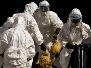 Φωτογραφία για Το Χονγκ Κονγκ αυξάνει το επίπεδο συναγερμού για τη γρίπη των πτηνών