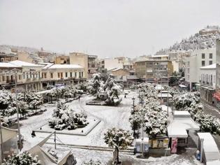 Φωτογραφία για Στους -6 βαθμούς Κελσίου και χιονόπτωση αυτή την ώρα στη Λαμία... [photo]