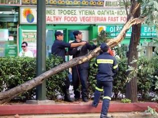 Φωτογραφία για Πάτρα: Σε 20 κοπές δέντρων και αφαιρέσεις αντικειμένων προχώρησε η πυροσβεστική