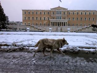 Φωτογραφία για Εισβολή πολικών μαζών στην Ελλάδα - Χιόνια και στην Αττική