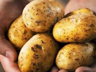 Φωτογραφία για Πατάτες κατά της παχυσαρκίας