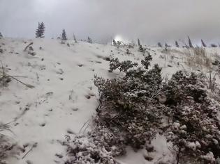 Φωτογραφία για Στους 30 πόντους το χιόνι στ’ Ανώγεια – Στα… λευκά ο Ψηλορείτης [video + photos]