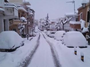 Φωτογραφία για ΠΟΣΟ χιόνι θα πέσει μέσα στις επόμενες ώρες; Δείτε τον χάρτη! [photo]