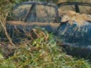 Φωτογραφία για Στο έλεος της κακοκαιρίας η Κρήτη: Δέντρο έπεσε πάνω σε δύο αυτοκίνητα και τα έκανε... θρύψαλα [photos]
