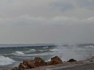 Φωτογραφία για H τραγωδία που του στοίχισε τη ζωή! Νέα στοιχεία για το διαμελισμένο πτώμα κοριτσιού...