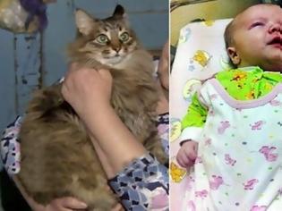 Φωτογραφία για Γάτα έσωσε εγκαταλελειμμένο μωρό στη Ρωσία [video]
