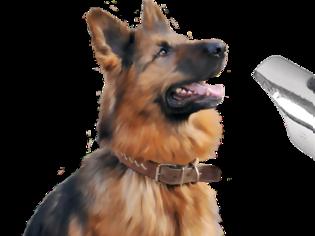 Φωτογραφία για Dog Whistle: Cydia app ne free...εκπαιδεύστε τον σκύλο σας