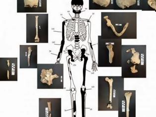 Φωτογραφία για Πέντε οι σκελετοί της Αμφίπολης - Δείτε φωτο