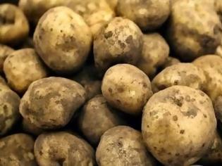 Φωτογραφία για Δεσμεύτηκαν 300 κιλά πατάτες στον Πειραιά
