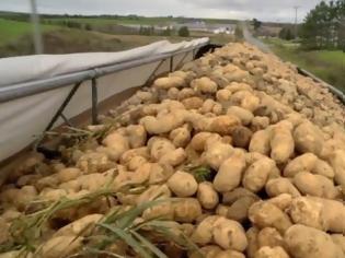 Φωτογραφία για Αχαΐα: Σοβαρό πλήγμα η κακοκαιρία του Δεκεμβρίου για τους καλλιεργητές πατάτας